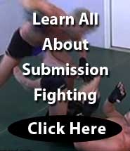 Mixed Martial Arts Training